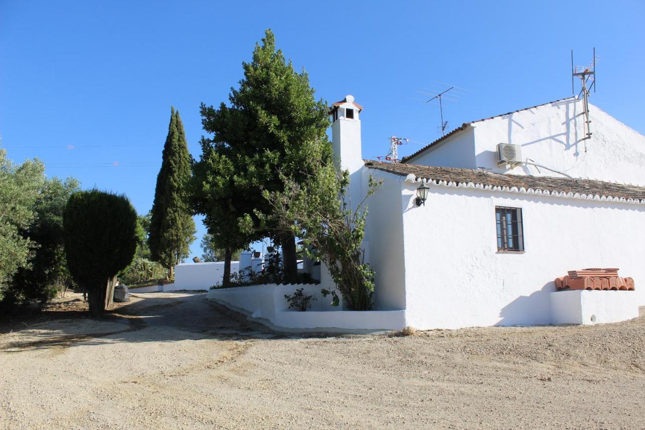 Casa Rural Faltriquera Setenil Setenil De Las Bodegas Exterior foto