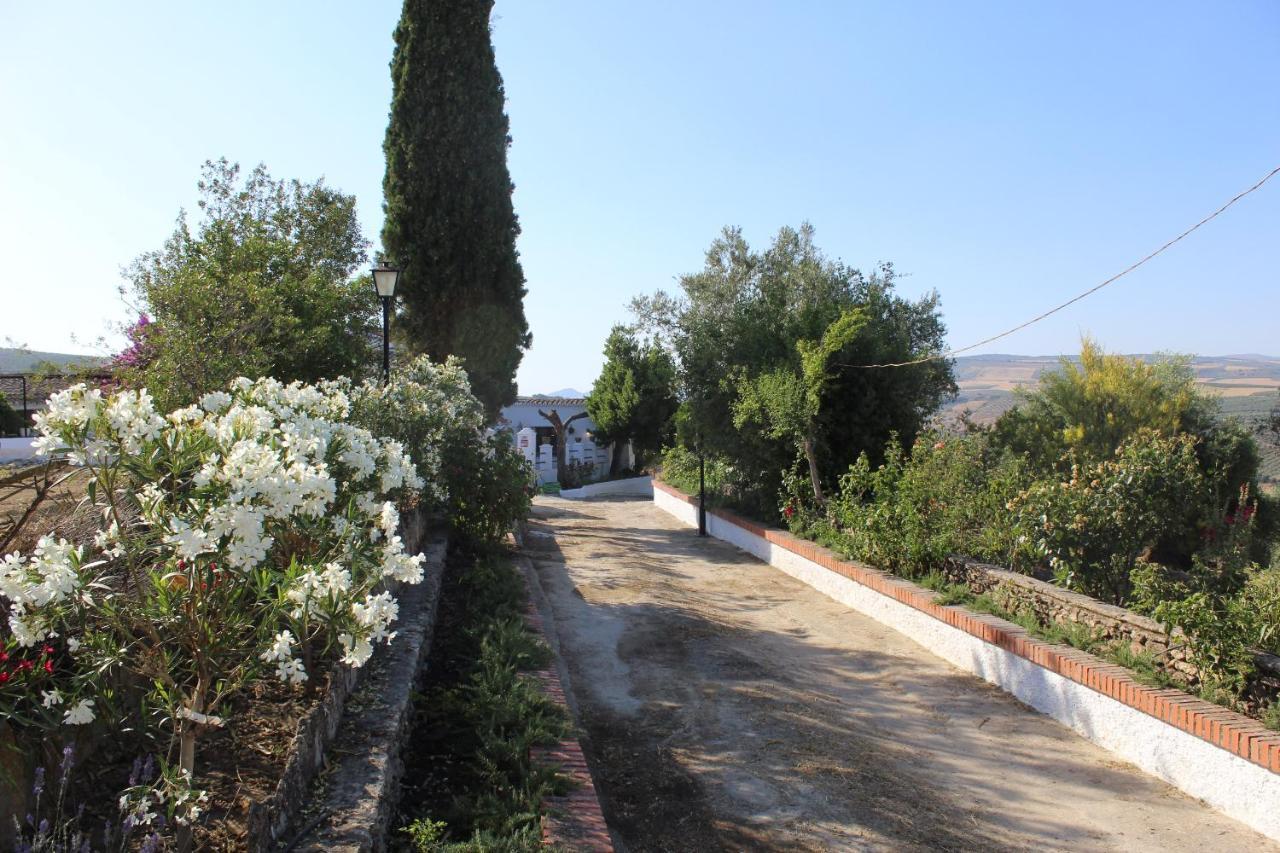 Casa Rural Faltriquera Setenil Setenil De Las Bodegas Exterior foto